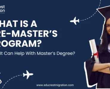 What is a Pre-Master’s Program